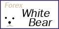 Forex White Bear